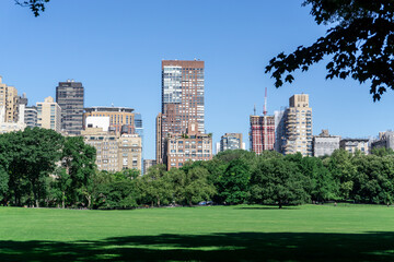 Obraz premium Stunning landscape of Centralpark in Newyork city