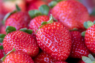 Fresh organic strawberries at the city market