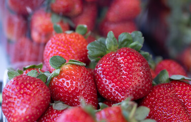 Fresh organic strawberries at the city market
