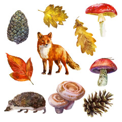 Watercolor illustration, autumn forest set. Mushrooms, cones, leaves, fox and hedgehog. Watercolor drawing.