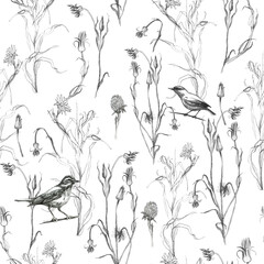 Illustration, pencil. A pattern of leaves and branches of plants, birds. Freehand drawing of flowers on a white background.