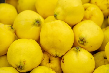 Many of quince fruits  for sale at city market
