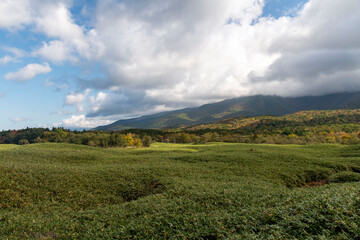 北海道　知床国立公園　知床五湖