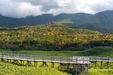 北海道　知床国立公園　知床五湖 © norinori303