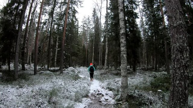 A female hiker is walking through the birch forest in chilly weather for recreation out of corona lockdown in a cloudscape of a frozen lake in northern Sweden