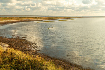 北海道の野付半島のトドワラ・ナラワラ