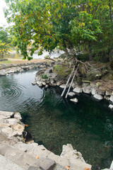 北海道の屈斜路湖の露天風呂
