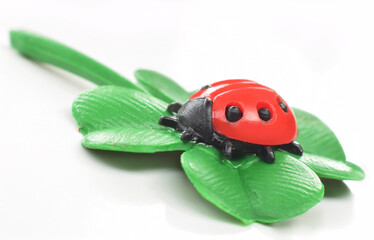 Ladybug on green clover leaf closed up as symbol of luck in new year