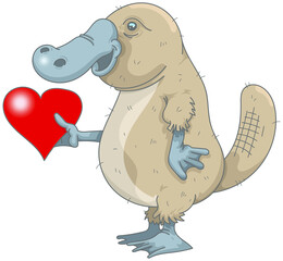 Ornithorynque amoureux