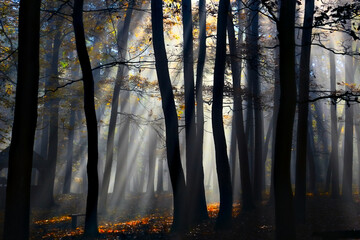 Autumn forest with the sun rays