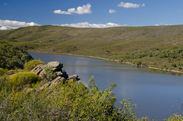 Landscape in the Torrejon Tietar reservoir. Monfrague National Park. Caceres. Extremadura. Spain.