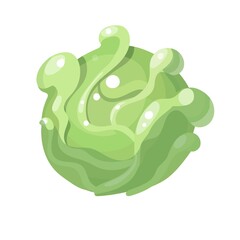 Cartoon cabbage isolated on white background. Vector illustration