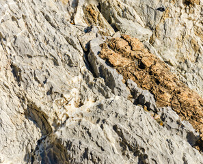 Cross section of rock