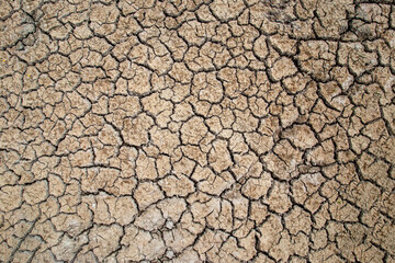 Cracked soil in the summer with the sun. Cracks of the dried soil in arid season at rural Thailand.
