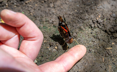 butterfly on a woman's hand in a nature reserve