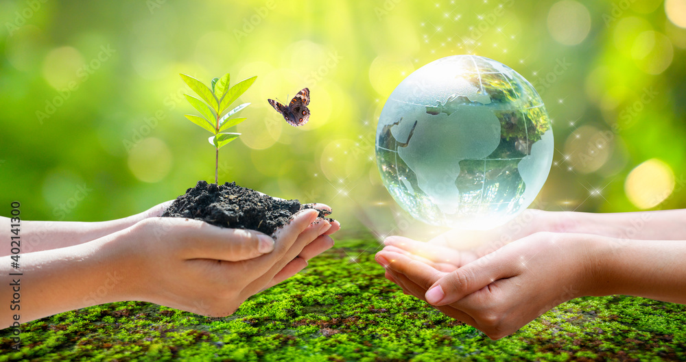 Wall mural concept save the world save environment the world is in the grass of the green bokeh background