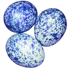 Œufs d’oiseaux, fond blanc 