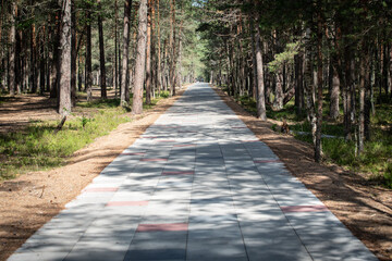 Nature trail. Paved walkway in the woods. Park and active recreation