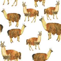 Seamless pattern llama or alpaca on white background. Watercolor hand drawing illustration of american animal with brown wool. Perfect for digital paper, wrapping, textile, print.