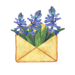 Watercolor blue hyacinth in envelope isolated on white background. Hand drawing illustration. Spring flowers in letter. Perfect for card, poster, print.