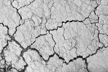 Drought land in summer.