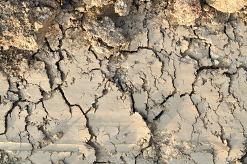 Cracked ground with mud texture.