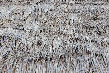 
Dry grass background on the roof