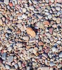 Pebbles on the beach, background