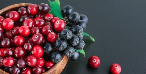 Cranberries and chokeberry in wooden bowl on black background. Nature, autumn, crop, food, berry banner.	
