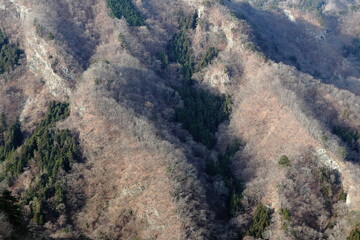 Winter withered mountains seen from the ridge (dead trees)(mountains)(late autumn / early winter) 稜線から見る冬枯れの山々 (枯れ木)(山脈)(晩秋/初冬)