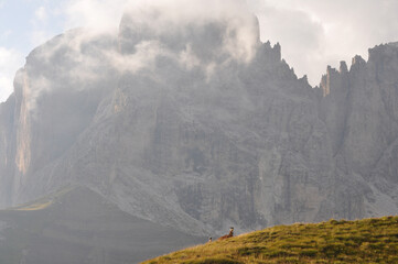 A mountain ridge above the clouds, Dolomiti, Italy