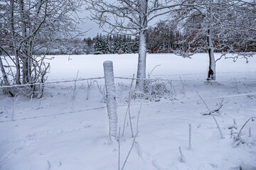 Winterlandschaft im Hohen Venn bei Monschau Mützenich in der Eifel