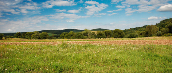 Widok na Bieszczady za polami i łąkami