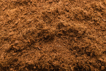 Coconut substrate background.