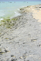 A Rocky Beach Ocean Coastline