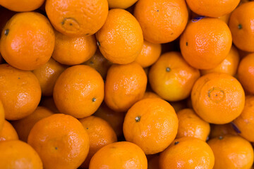 apetitic juicy farm mandarins at market counter