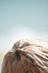 A Coconut Seed Blurred Background