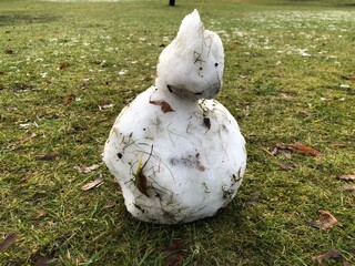 snowman on the grass