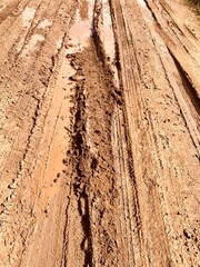 Muddy bumpy path in detail. Impassable road