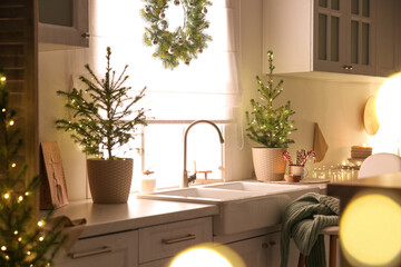 Beautiful kitchen decorated with potted firs. Interior design