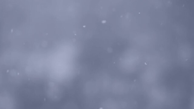Closeup view video of fresh white snow falling down outdoors on winter snowy street. Abstract natural background.