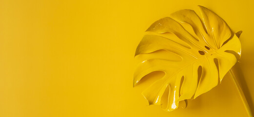 Monstera top view leaf model philodendron isolated on pastel background 