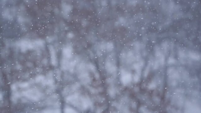 Closeup view video of fresh white snow falling down outdoors on winter snowy street. Abstract natural background.