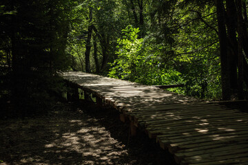 Wooden pathway in Plitvice lakes national park.