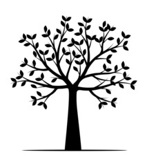 Shape of Black Tree. Vector outline Illustration. Plant in Garden.