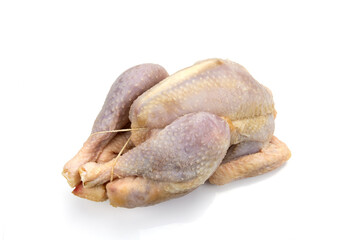 poule fermi&egrave;re isol&eacute; sur un fond blanc