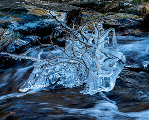 Naturaleza congelada en Canencia Sierra de Madrid