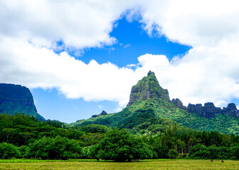 French Polynesia, landscape of the Moorea island.