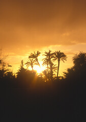 Couché de soleil au Maroc