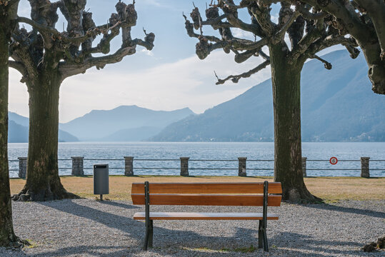 Red bench among plane trees overlooking Lake Ceresio in Bissone near Lugano on a sunny winter day. Canton Ticino. Switzerland